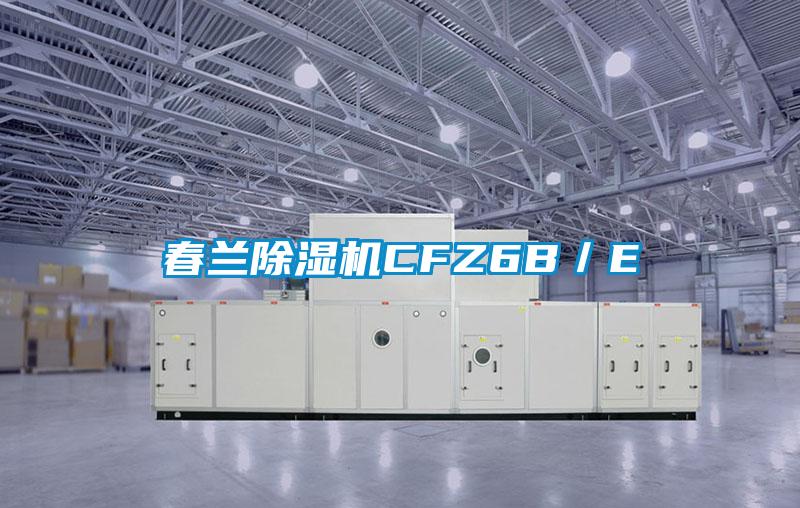 春兰香蕉视频国产APP下载机CFZ6B／E