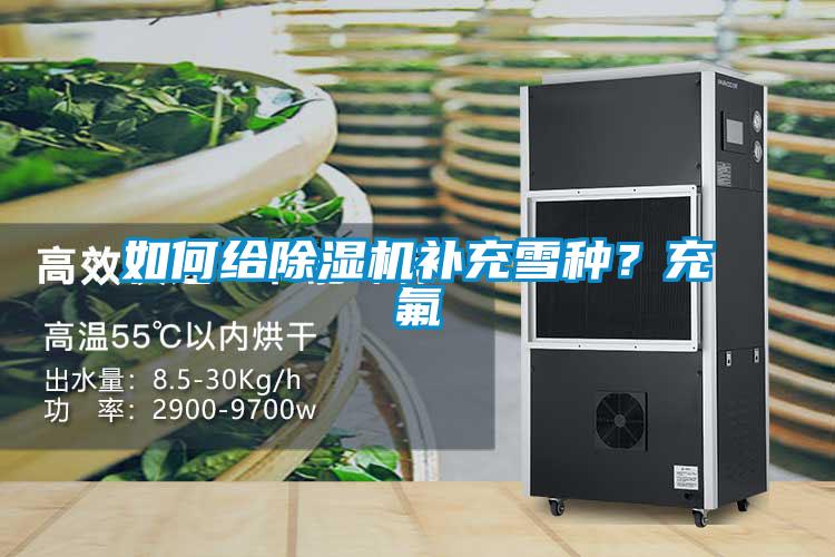 如何给香蕉视频国产APP下载机补充雪种？充氟