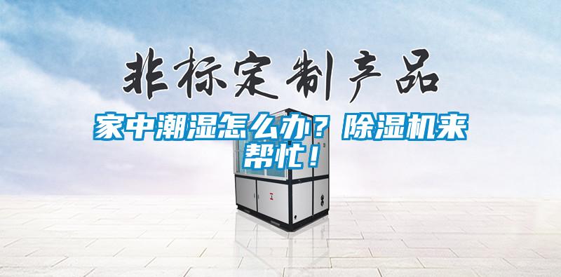 家中潮湿怎么办？香蕉视频国产APP下载机来帮忙！