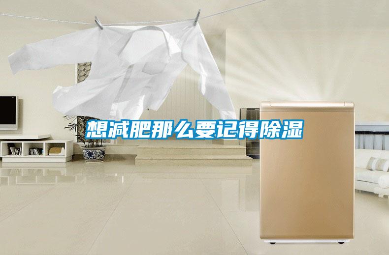 想减肥那么要记得香蕉视频国产APP下载