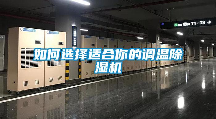 如何选择适合你的调温香蕉视频国产APP下载机