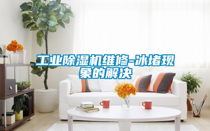 工业香蕉视频国产APP下载机维修-冰堵现象的解决