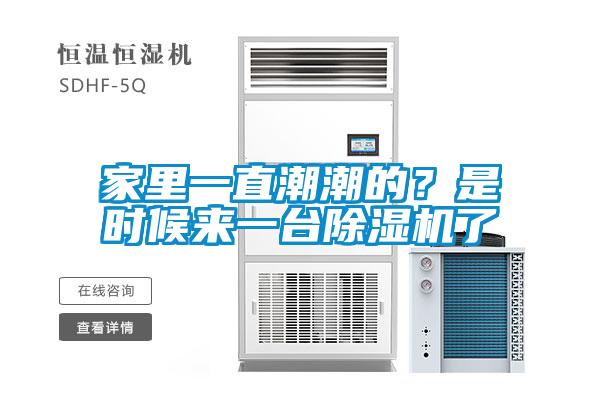 家里一直潮潮的？是时候来一台香蕉视频国产APP下载机了