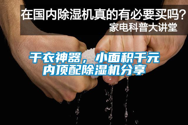 干衣神器，小面积千元内顶配香蕉视频国产APP下载机分享