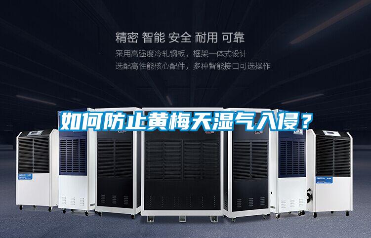 如何防止黄梅天湿气入侵？