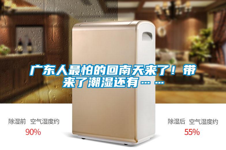 广东人最怕的回南天来了！带来了潮湿还有……