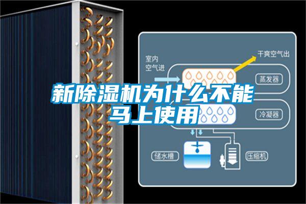 新香蕉视频国产APP下载机为什么不能马上使用