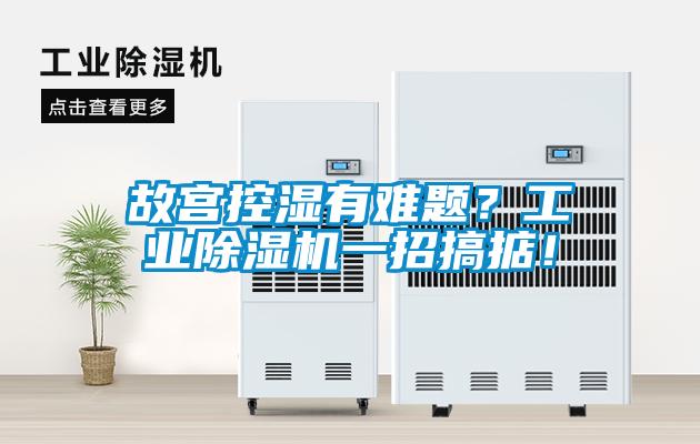 故宫控湿有难题？工业香蕉视频国产APP下载机一招搞掂！