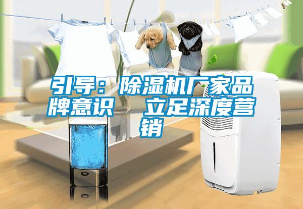引导：香蕉视频国产APP下载机厂家品牌意识  立足深度营销