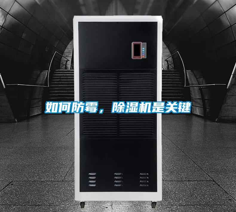 如何防霉，香蕉视频国产APP下载机是关键