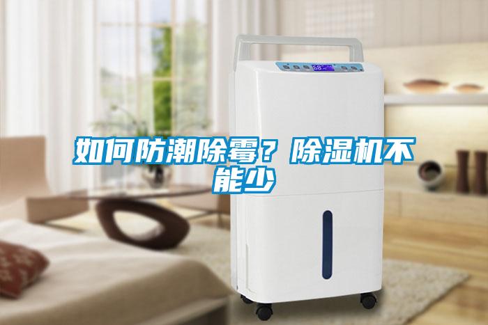如何防潮除霉？香蕉视频国产APP下载机不能少