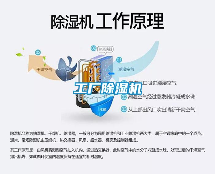 工厂香蕉视频国产APP下载机