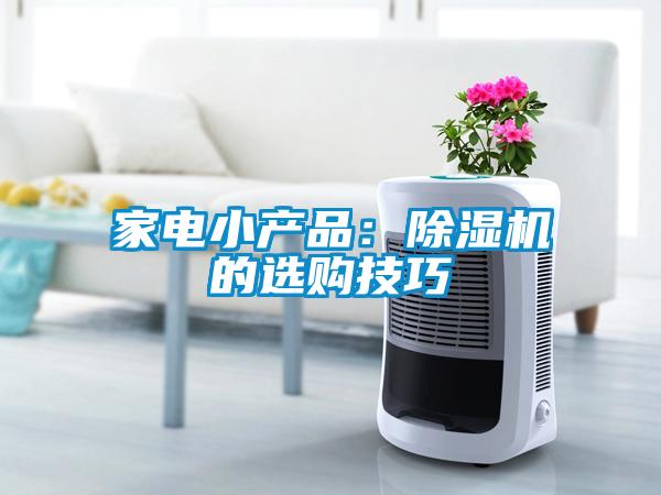 家电小产品：香蕉视频国产APP下载机的选购技巧