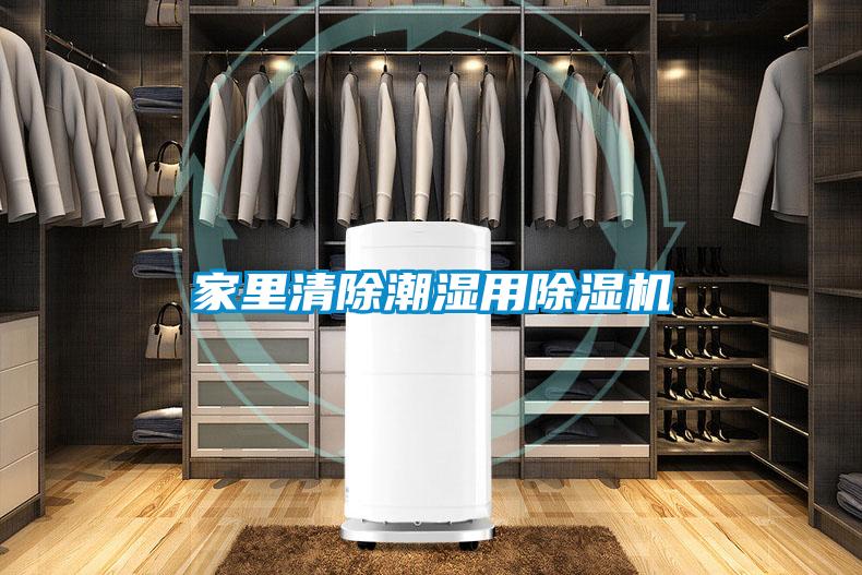 家里清除潮湿用香蕉视频国产APP下载机