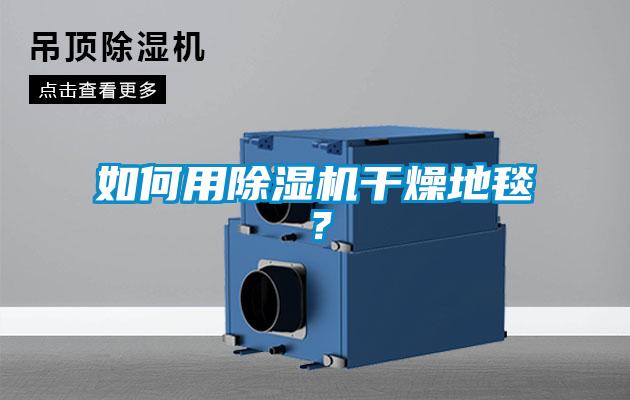 如何用香蕉视频国产APP下载机干燥地毯？