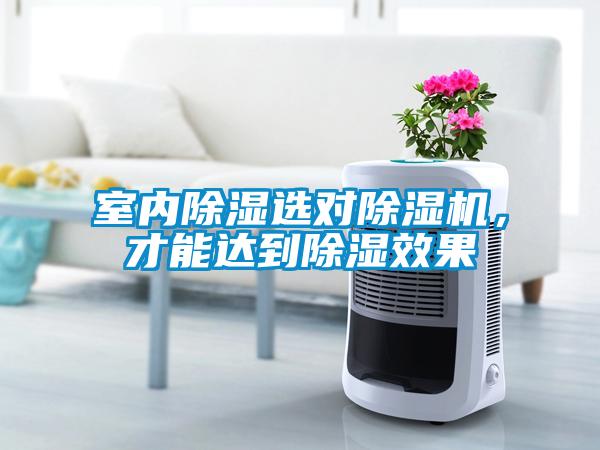 室内香蕉视频国产APP下载选对香蕉视频国产APP下载机，才能达到香蕉视频国产APP下载效果