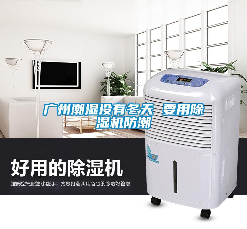 广州潮湿没有冬天 要用香蕉视频国产APP下载机防潮