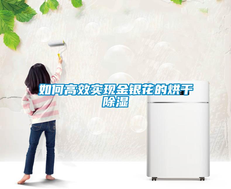 如何高效实现金银花的烘干香蕉视频国产APP下载