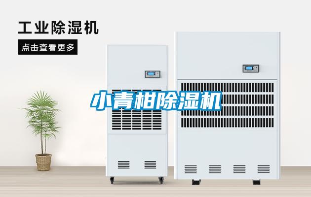 小青柑香蕉视频国产APP下载机