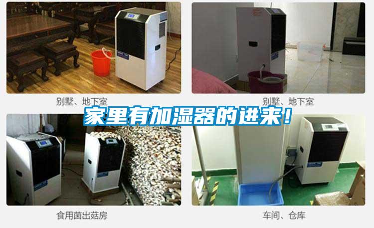 家里有加湿器的进来！