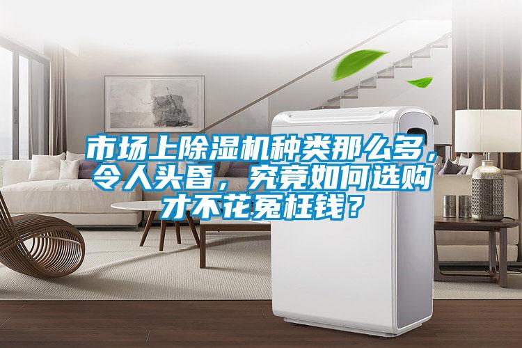市场上香蕉视频国产APP下载机种类那么多，令人头昏，究竟如何选购才不花冤枉钱？