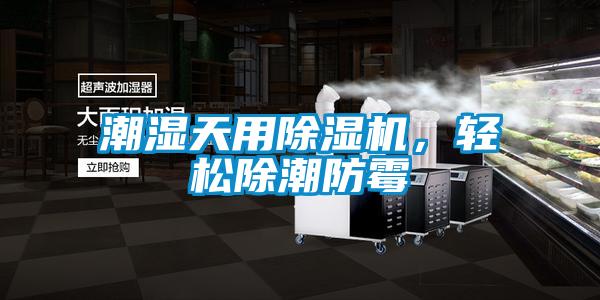 潮湿天用香蕉视频国产APP下载机，轻松除潮防霉