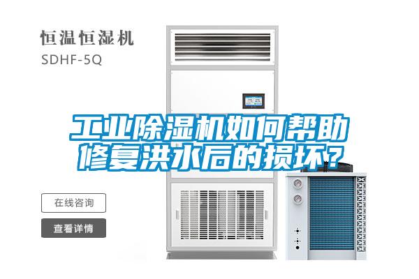 工业香蕉视频国产APP下载机如何帮助修复洪水后的损坏？