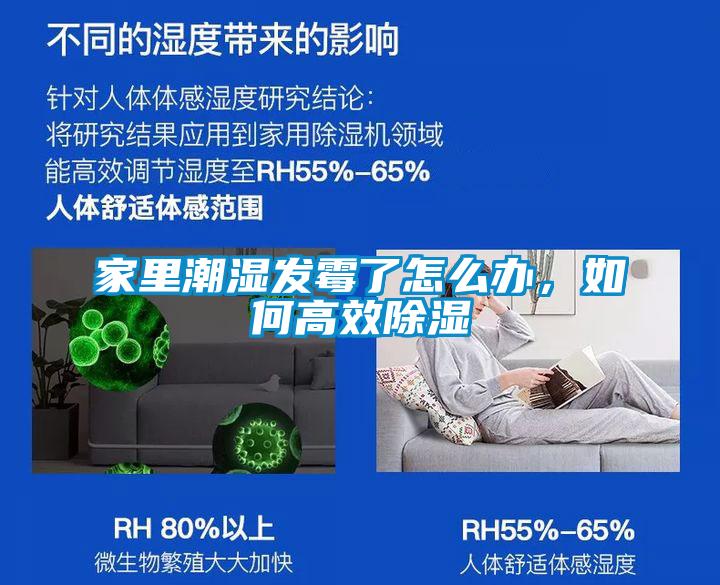家里潮湿发霉了怎么办，如何高效香蕉视频国产APP下载