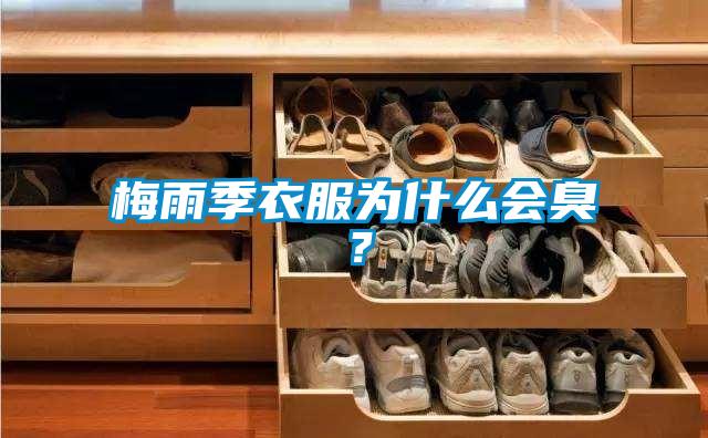 梅雨季衣服为什么会臭？
