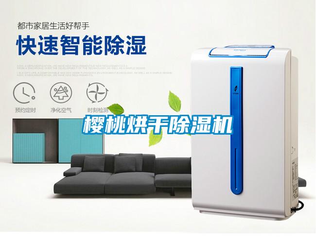 樱桃烘干香蕉视频国产APP下载机