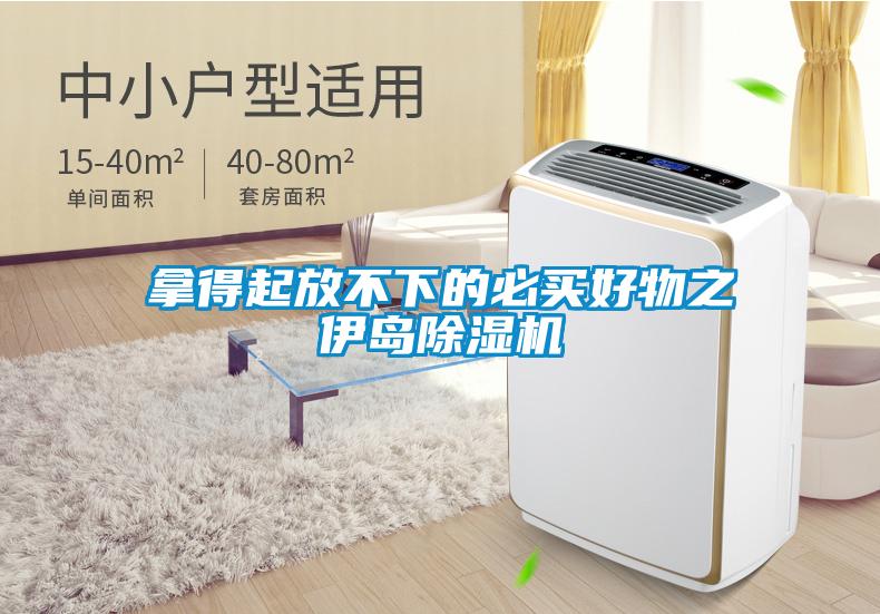 拿得起放不下的必买好物之伊岛香蕉视频国产APP下载机