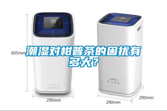 潮湿对柑普茶的困扰有多大？