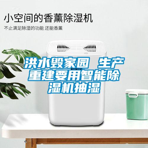 洪水毁家园 生产重建要用智能香蕉视频国产APP下载机抽湿