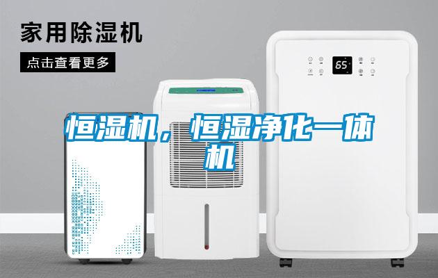 恒湿机，恒湿净化一体机