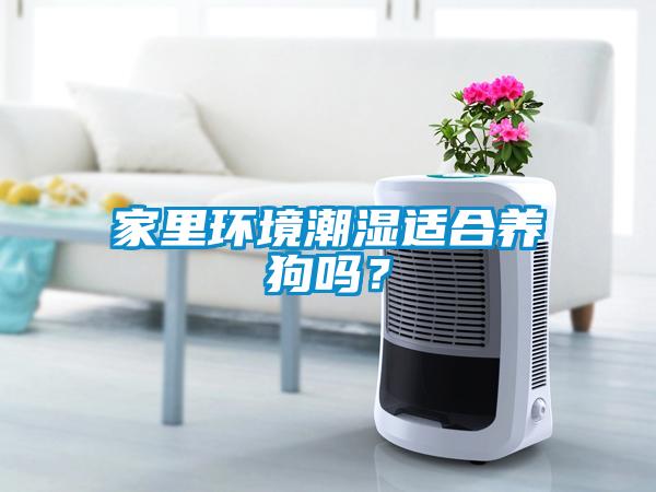 家里环境潮湿适合养狗吗？