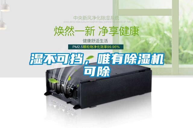 湿不可挡，唯有香蕉视频国产APP下载机可除