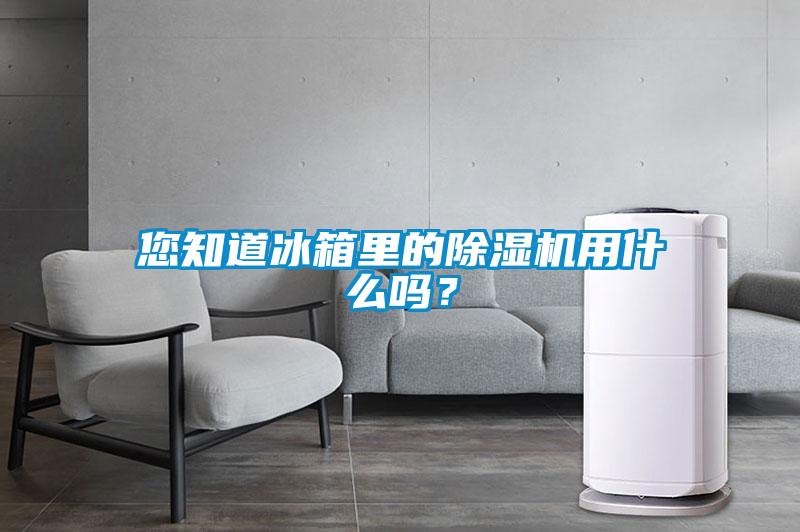 您知道冰箱里的香蕉视频国产APP下载机用什么吗？