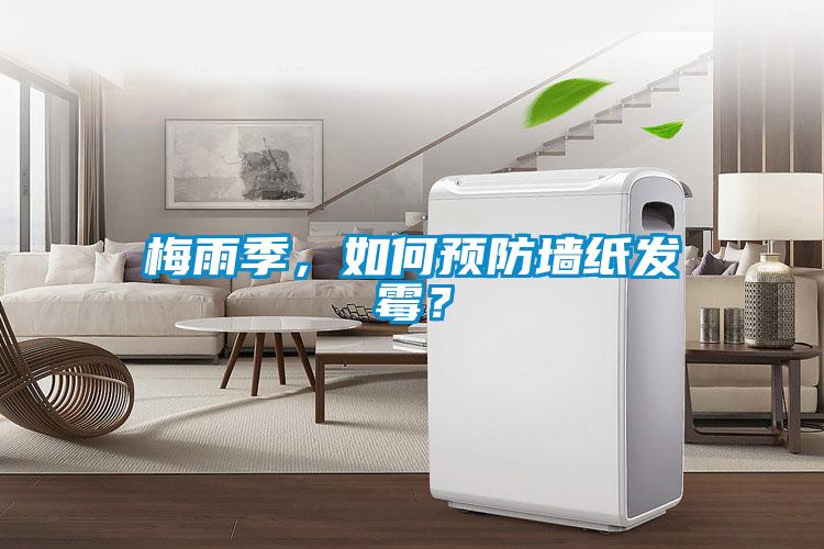 梅雨季，如何预防墙纸发霉？