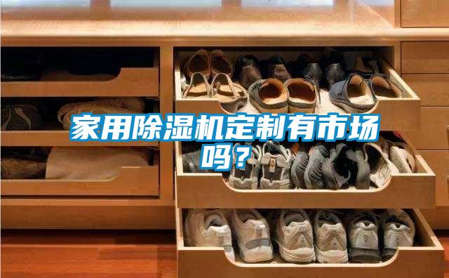 家用香蕉视频国产APP下载机定制有市场吗？