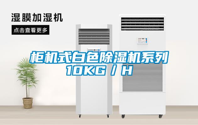 柜机式白色香蕉视频国产APP下载机系列10KG／H
