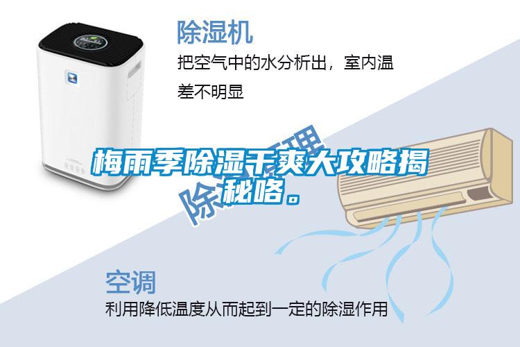梅雨季香蕉视频国产APP下载干爽大攻略揭秘咯。