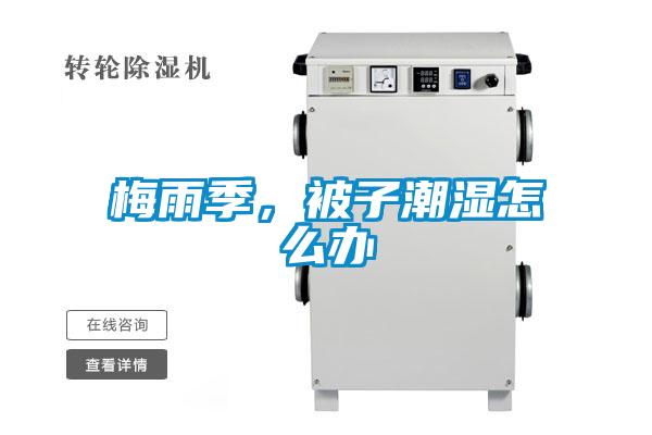 梅雨季，被子潮湿怎么办