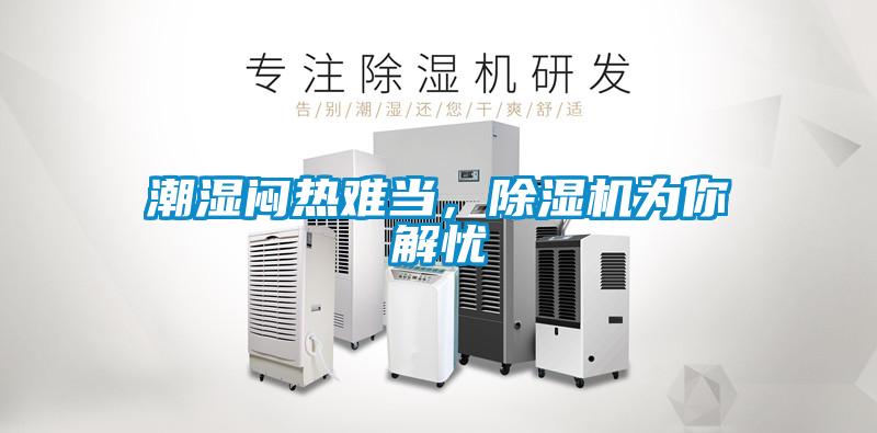 潮湿闷热难当，香蕉视频国产APP下载机为你解忧
