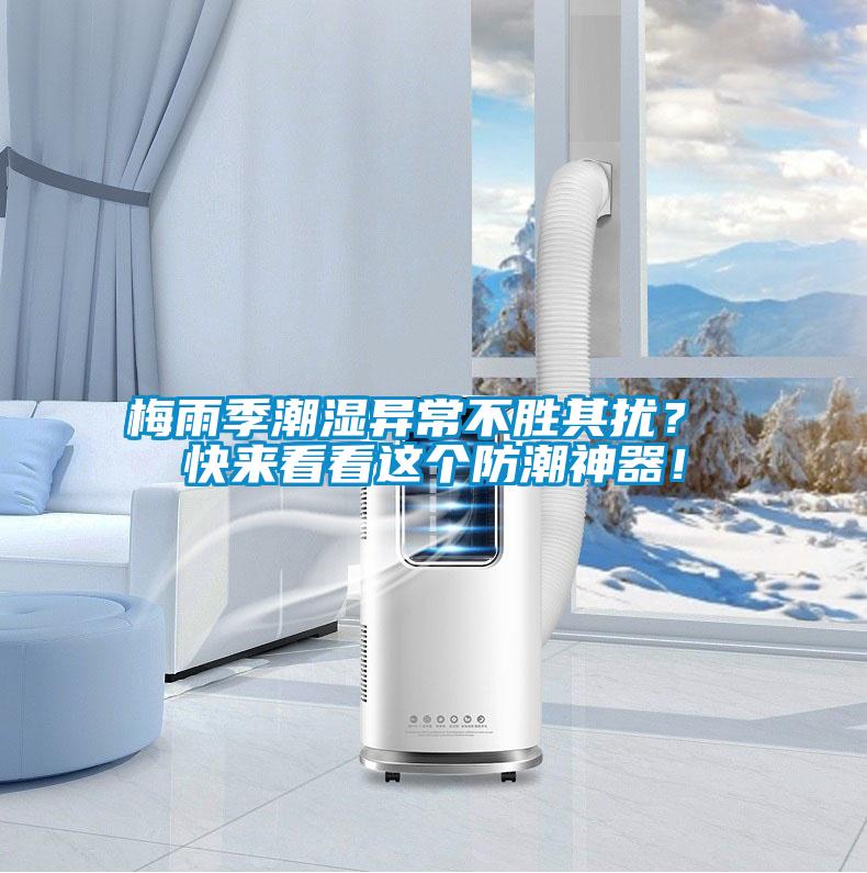 梅雨季潮湿异常不胜其扰？ 快来看看这个防潮神器！