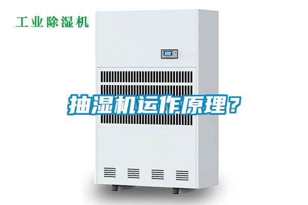 抽湿机运作原理？