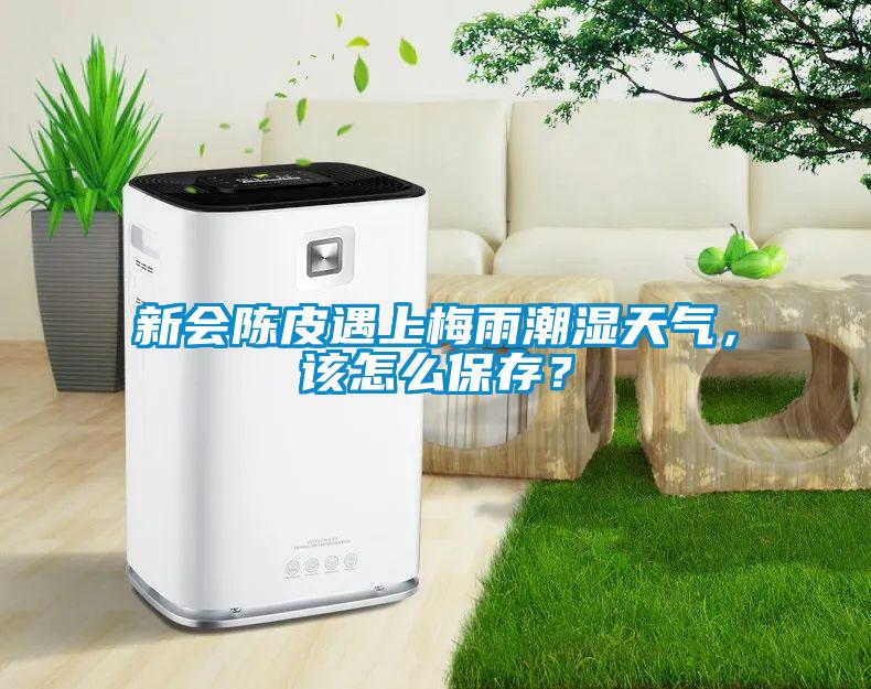 新会陈皮遇上梅雨潮湿天气，该怎么保存？