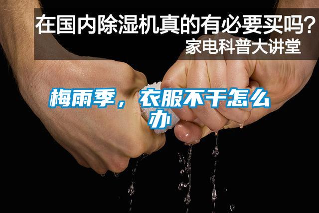 梅雨季，衣服不干怎么办