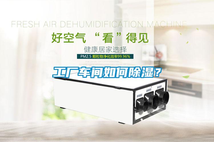 工厂车间如何香蕉视频国产APP下载？