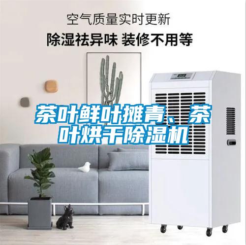 茶叶鲜叶摊青、茶叶烘干香蕉视频国产APP下载机