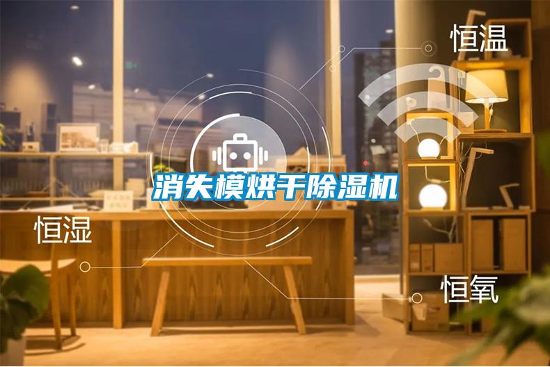 消失模烘干香蕉视频国产APP下载机